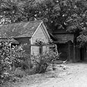 Bancroft image of JA farm structures and vineyard