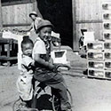 Kato family packing tomatoes, 1939