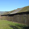 Matsumoto Chicken ranch - Corona Road, Petaluma